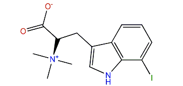 Plakohypaphorine A